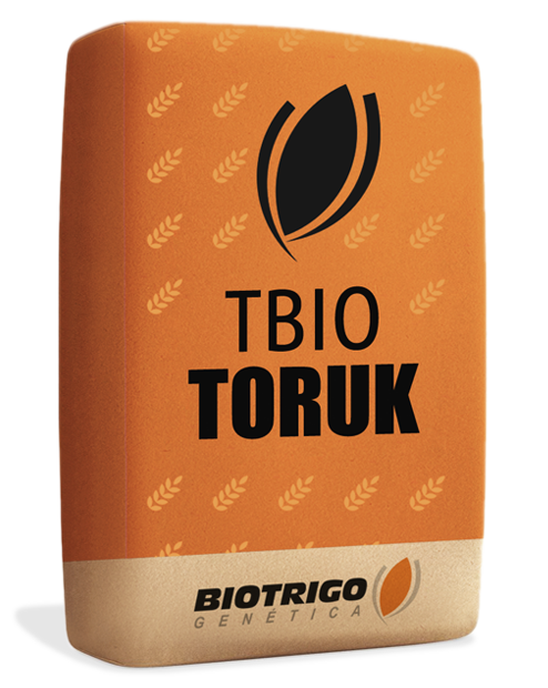 Semente de trigo TBIO Toruk - TSI-B